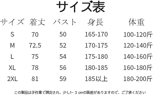 Amazon.co.jp: [LAXIDAI] 2026年 対応柏レイソル ユニフォーム 細谷真